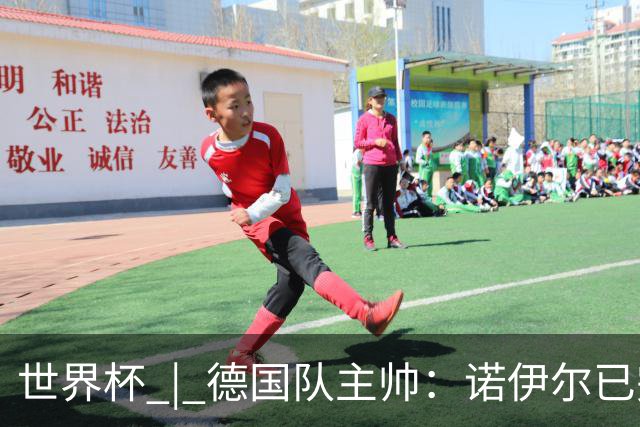 世界杯 | 德国队主帅：诺伊尔已完全康复